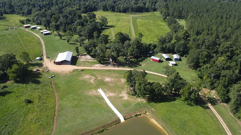 Spring-Fed Creeks and 82 Wooded Acres with Pavilion, Bunk Cabins, and a Stocked Pond Near the Bogue Chitto River