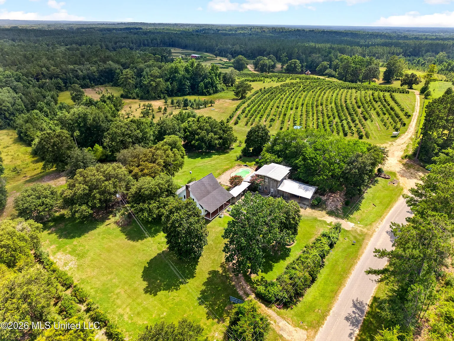 A Blueberry and Tea Farm With Its Own Processing Warehouse