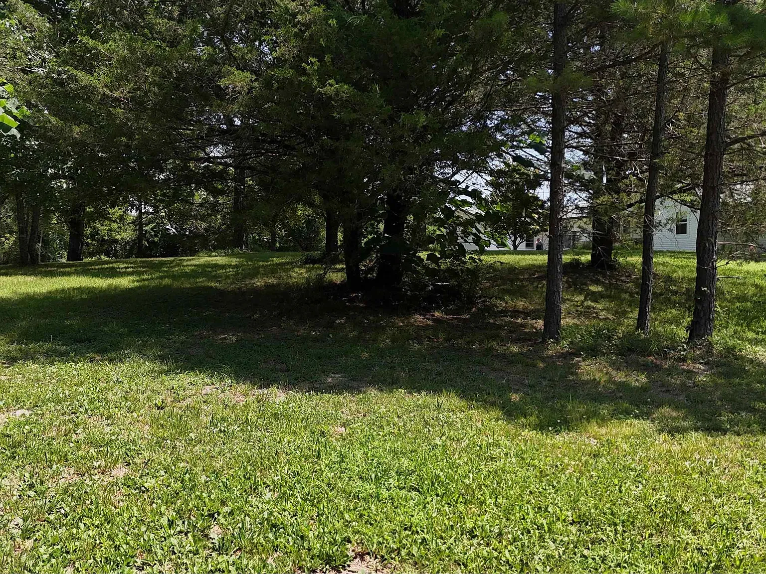 Board Camp Creek Frontage and Livestock Infrastructure on 8 Ouachita Acres Near Mena