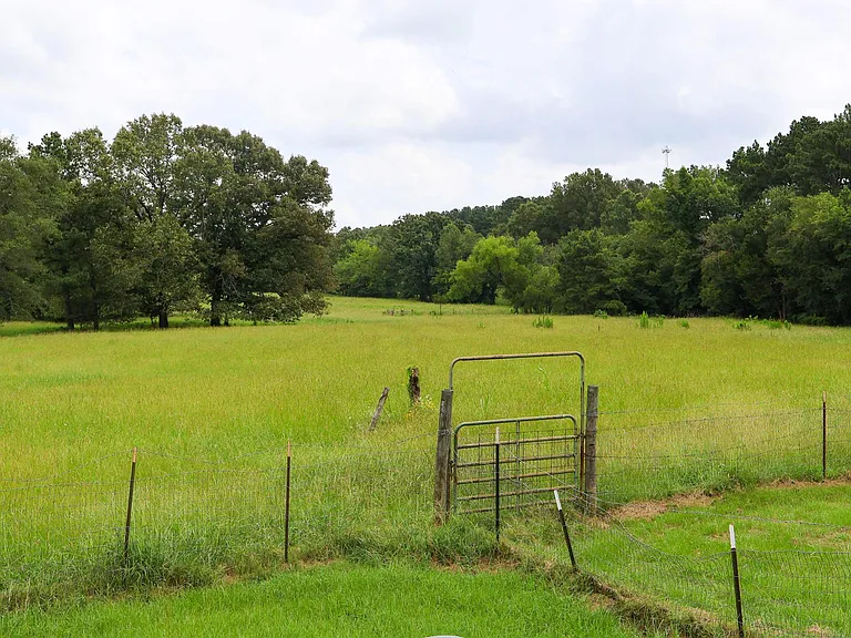 Two Private Ponds on 15 Acres, Ready to Reimagine