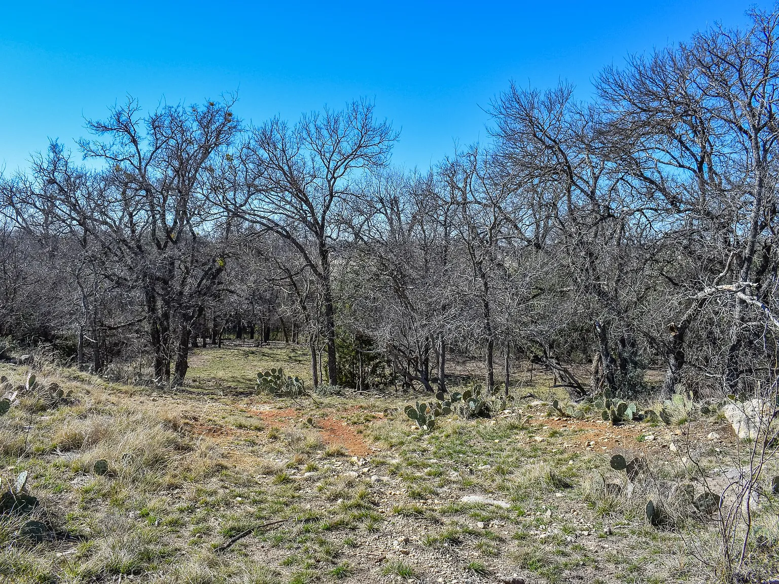 Brady Creek Frontage on 6 McCulloch County Acres, With a 1960 Midcentury Home