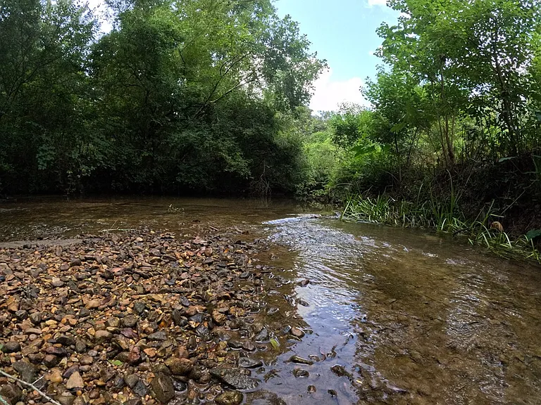 Spring-Fed Creeks and 82 Wooded Acres with Pavilion, Bunk Cabins, and a Stocked Pond Near the Bogue Chitto River