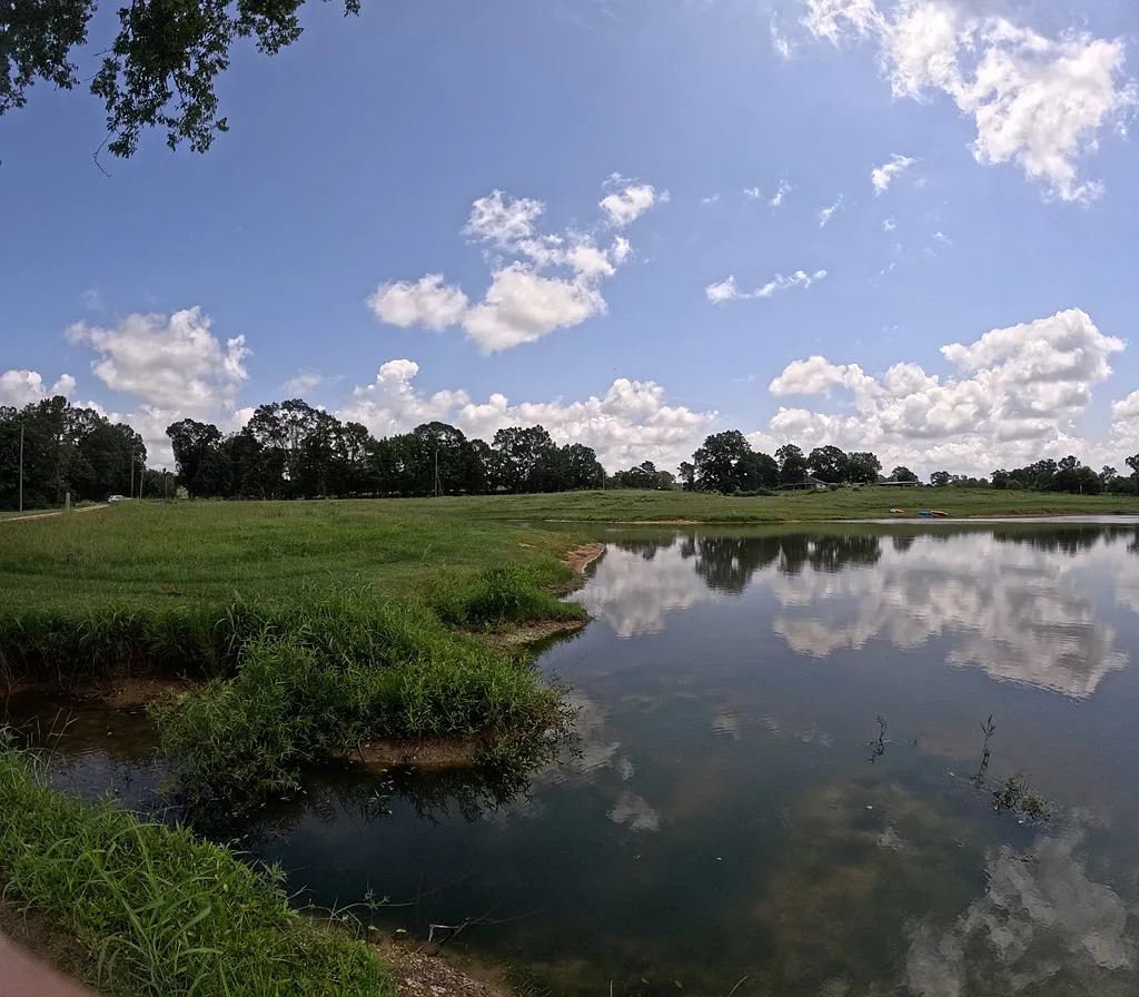 Spring-Fed Creeks and 82 Wooded Acres with Pavilion, Bunk Cabins, and a Stocked Pond Near the Bogue Chitto River