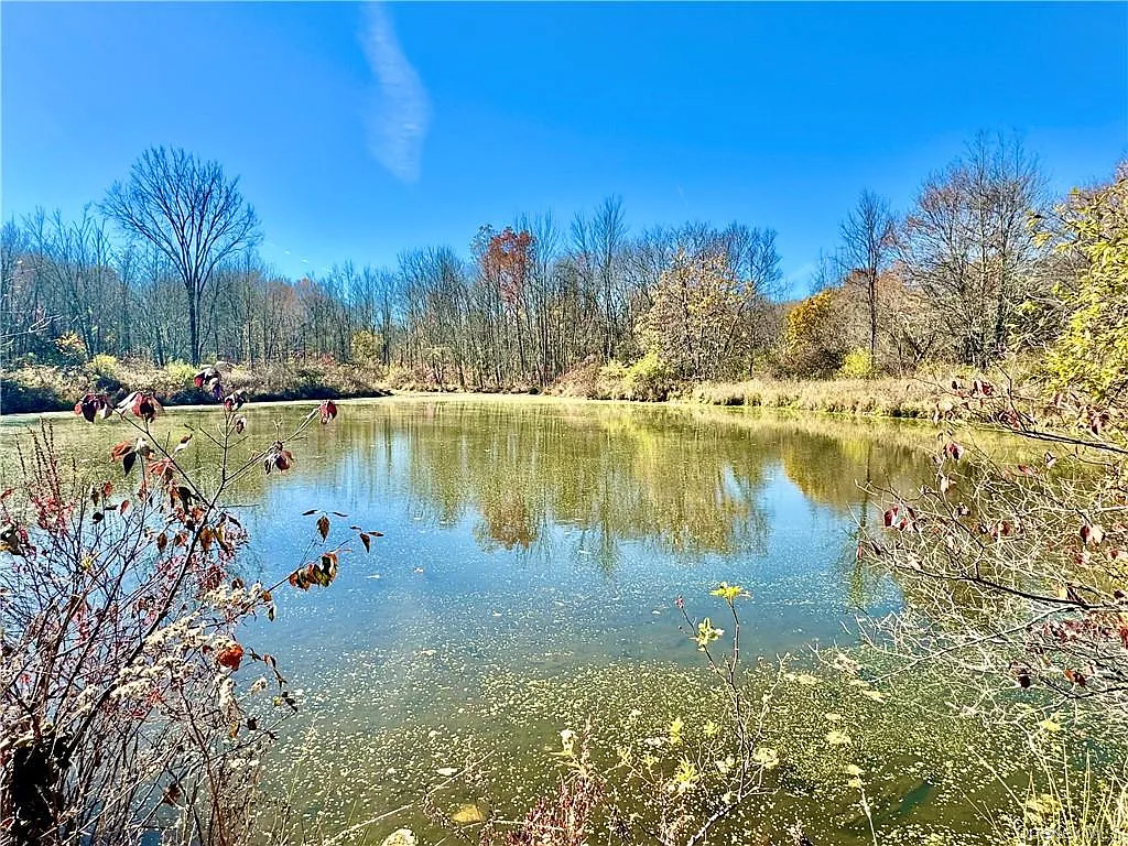 An 1821 Colonial Estate on 36 Acres in Orange County