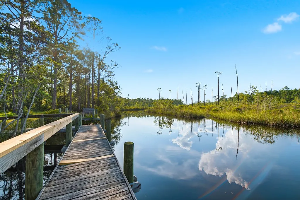 Doyle Creek Frontage on 10 Acres with Private Dock, Covered Boathouse, and Deep Shade Near Apalachicola