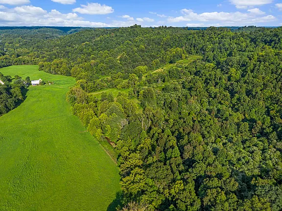 A Massive Multi-Stall Barn on 118 Wooded Acres in Catlettsburg