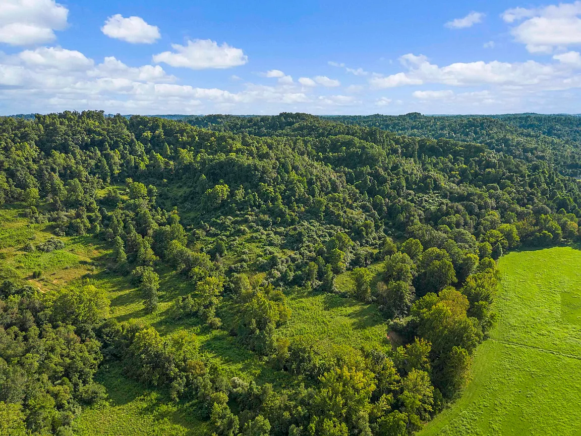A Massive Multi-Stall Barn on 118 Wooded Acres in Catlettsburg