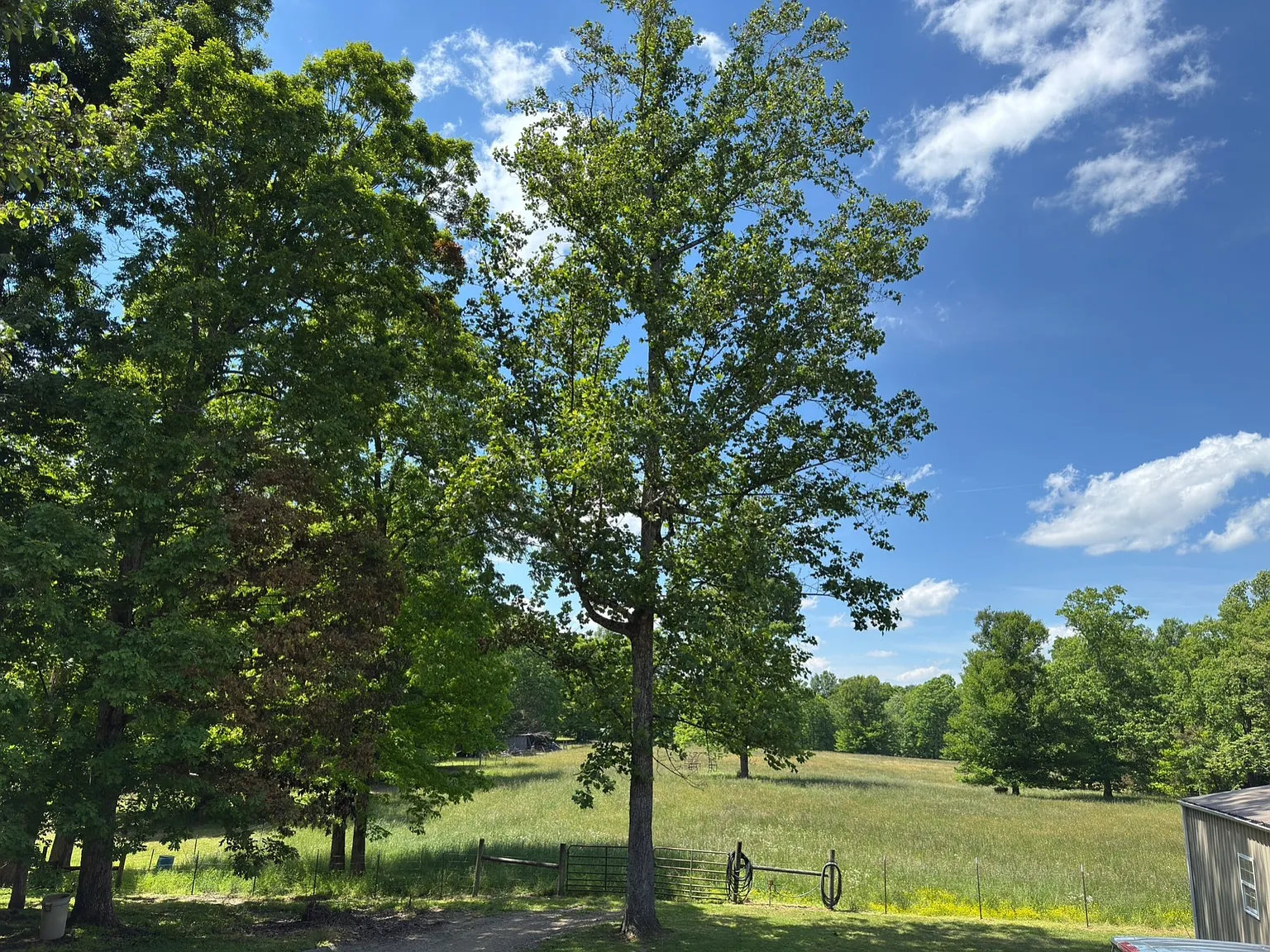 A Fenced Pasture on 5.82 Acres in Red Boiling Springs