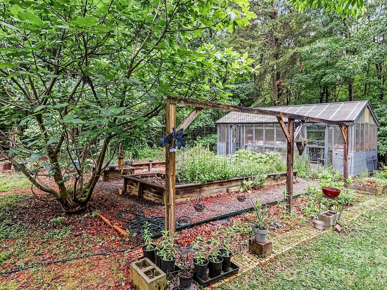 A Chicken House and Fruit Trees on 9 Acres in Gold Hill