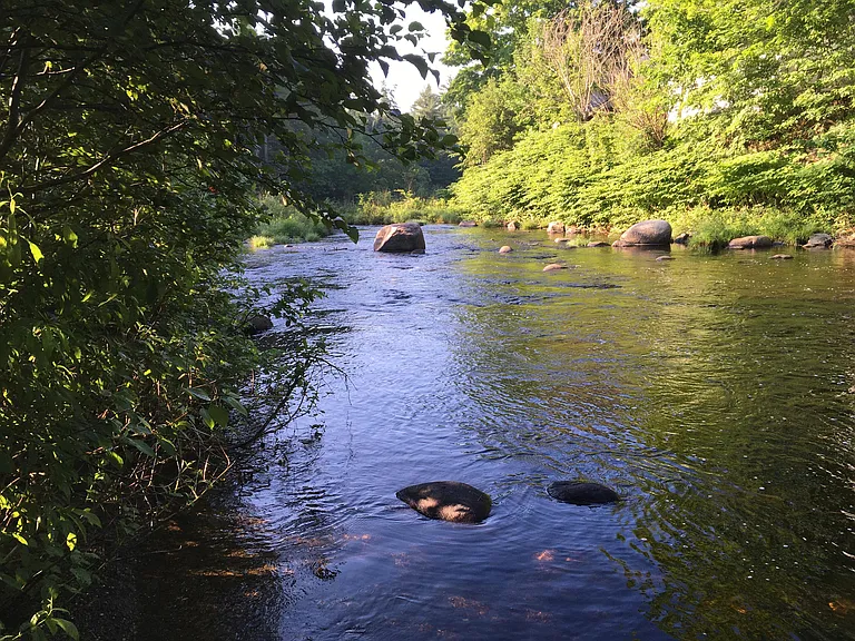 Historic 1900 Farmstead on Higgins Stream with Horse Barn, Swimming Hole, and In-Law Apartment Near Skowhegan
