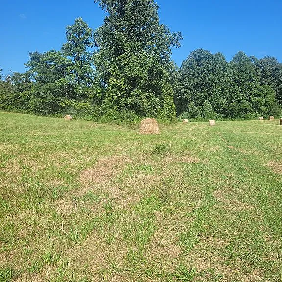 A Large Barn on Five Country Acres, Ready to Reimagine