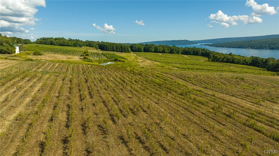 1825 Farmhouse on 5 Acres Near Hammondsport