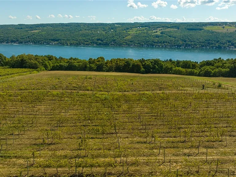 1825 Farmhouse on 5 Acres Near Hammondsport