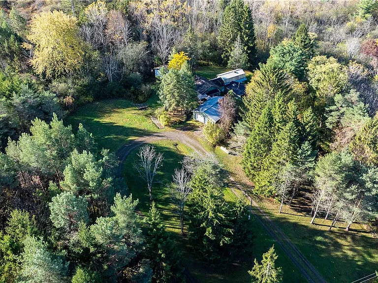 Log Cabin with Pond on 4.24 Private Acres in the Finger Lakes