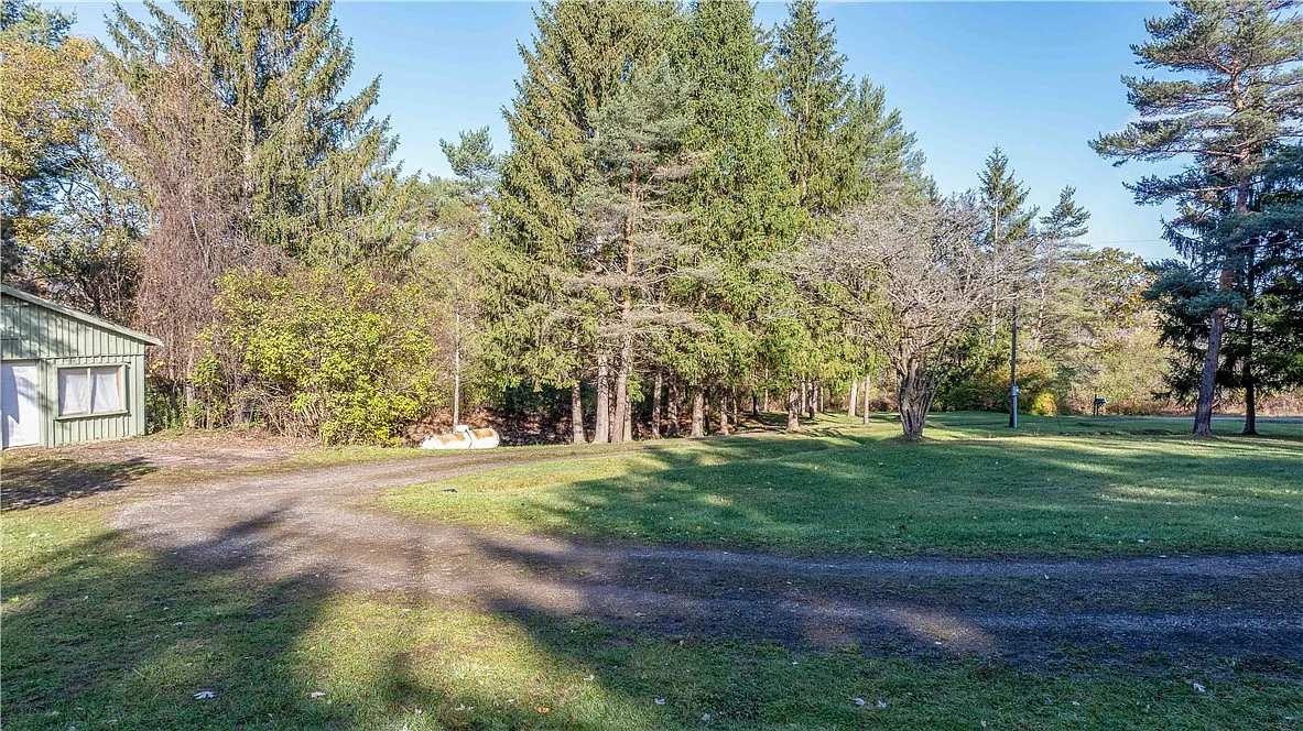 Log Cabin with Pond on 4.24 Private Acres in the Finger Lakes