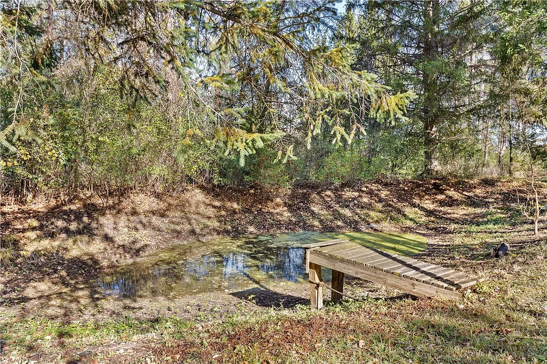 Log Cabin with Pond on 4.24 Private Acres in the Finger Lakes