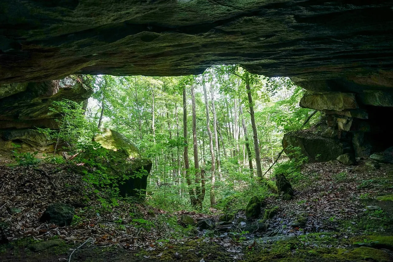 Farmhouse and Cabin on 57 Acres with a Cave and Waterfall in Noble County