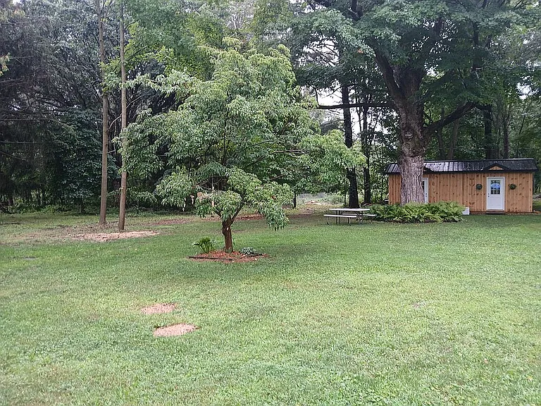 A Horse-Ready Barn on Nearly 5 Wooded Acres