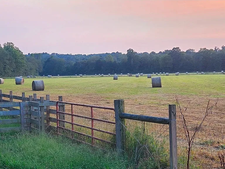 A 65-Acre Working Farm With Its Own U-Pick Blueberry Patch in McNairy County
