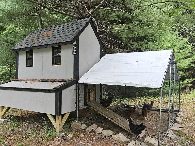 A Working Homestead Setup on Sandy Pond