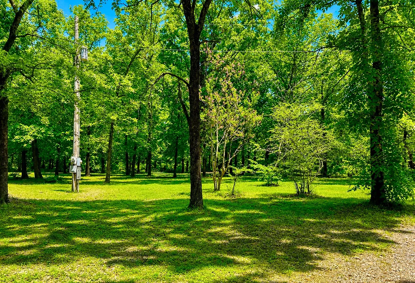 Two Homes on 7.5 Acres, Minutes from Sardis Lake