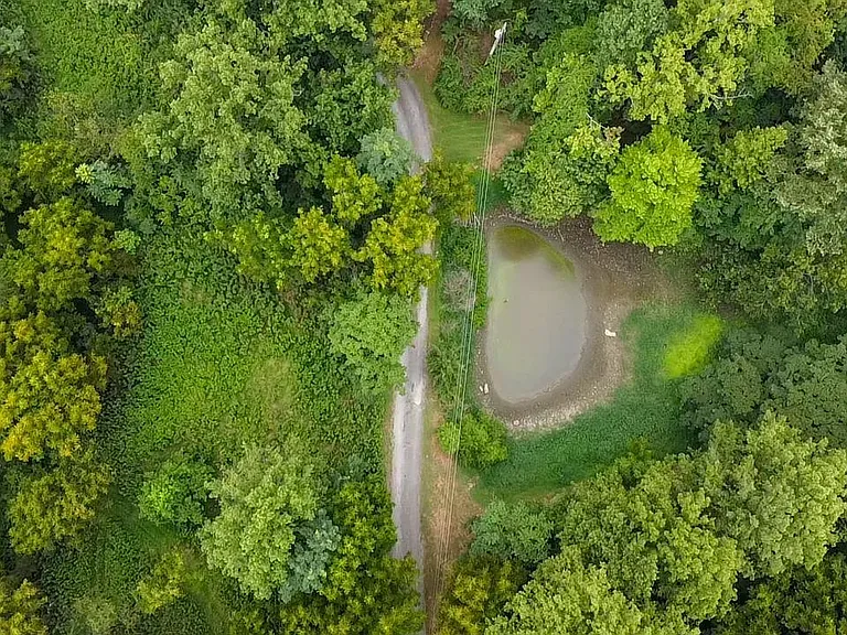 A Pond on 22 Acres in the Blue Ridge Foothills