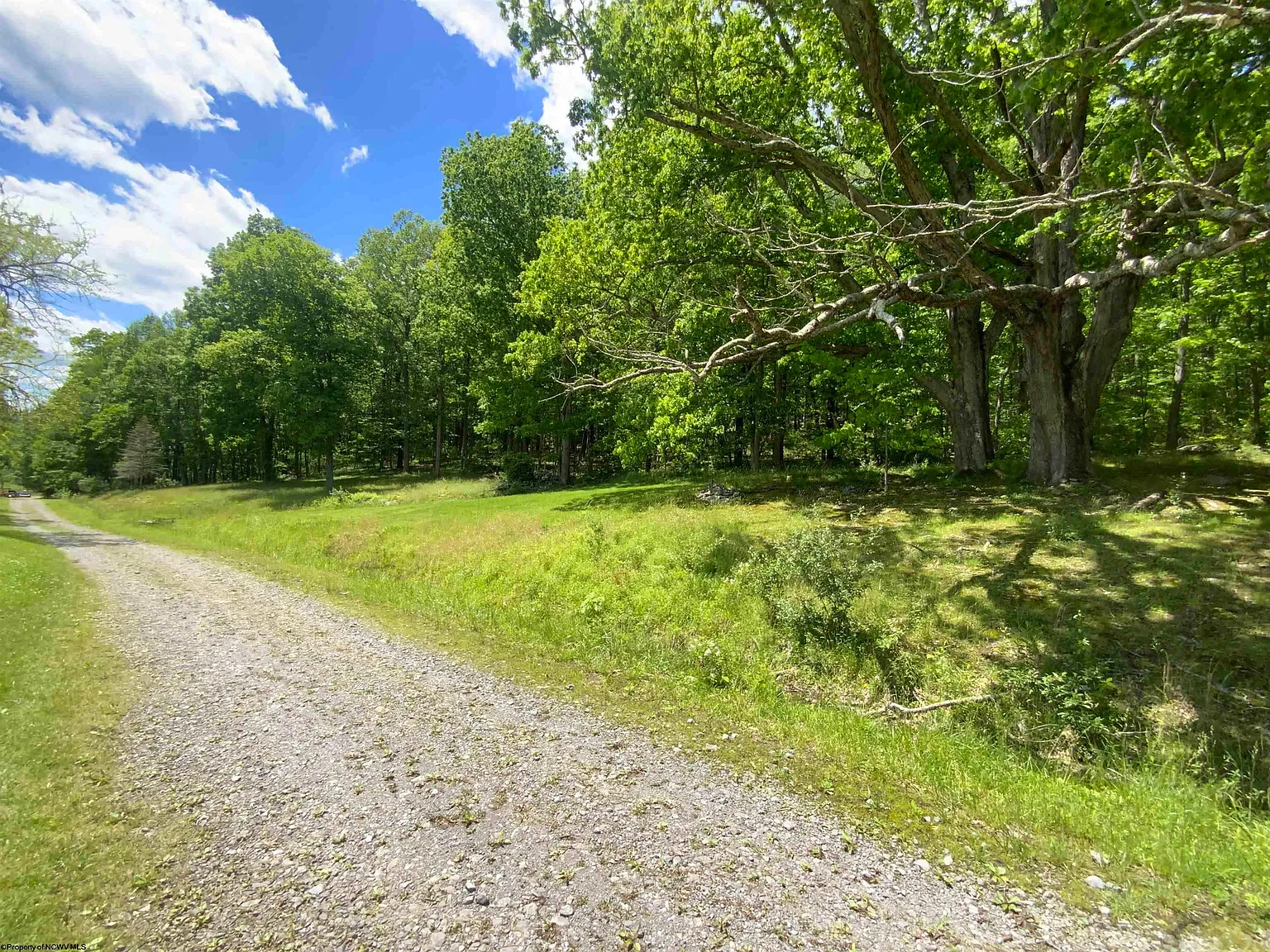 A Blank-Canvas 1900 Cabin on 6.5 Preston County Acres