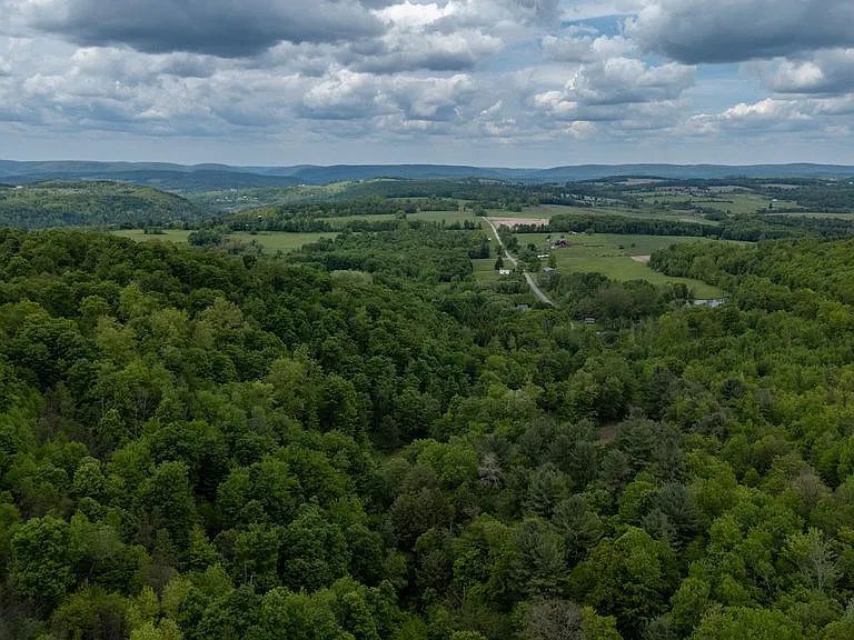 A Charming Cabin on 10 Wooded Acres Along a Babbling Stream