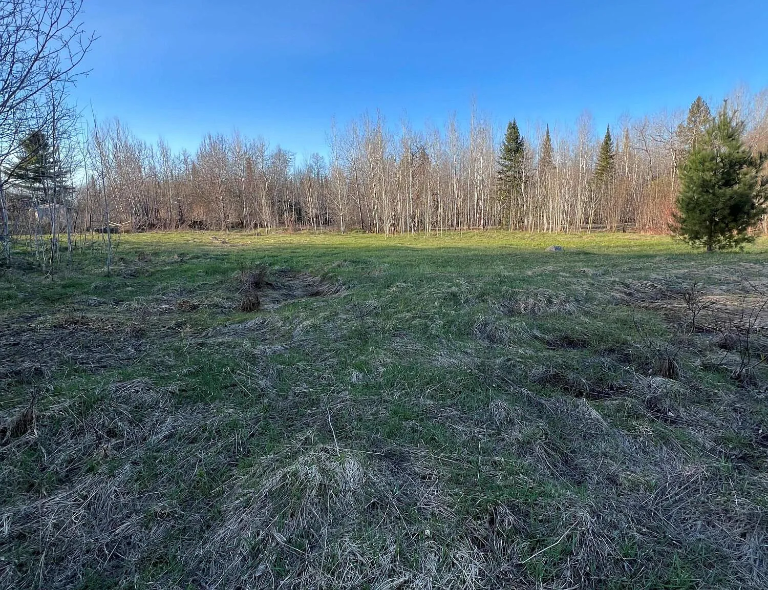 Three-Generation Stone Farmstead with Greenhouse, Barn, and Pond on 30 Acres Near Sault Sainte Marie
