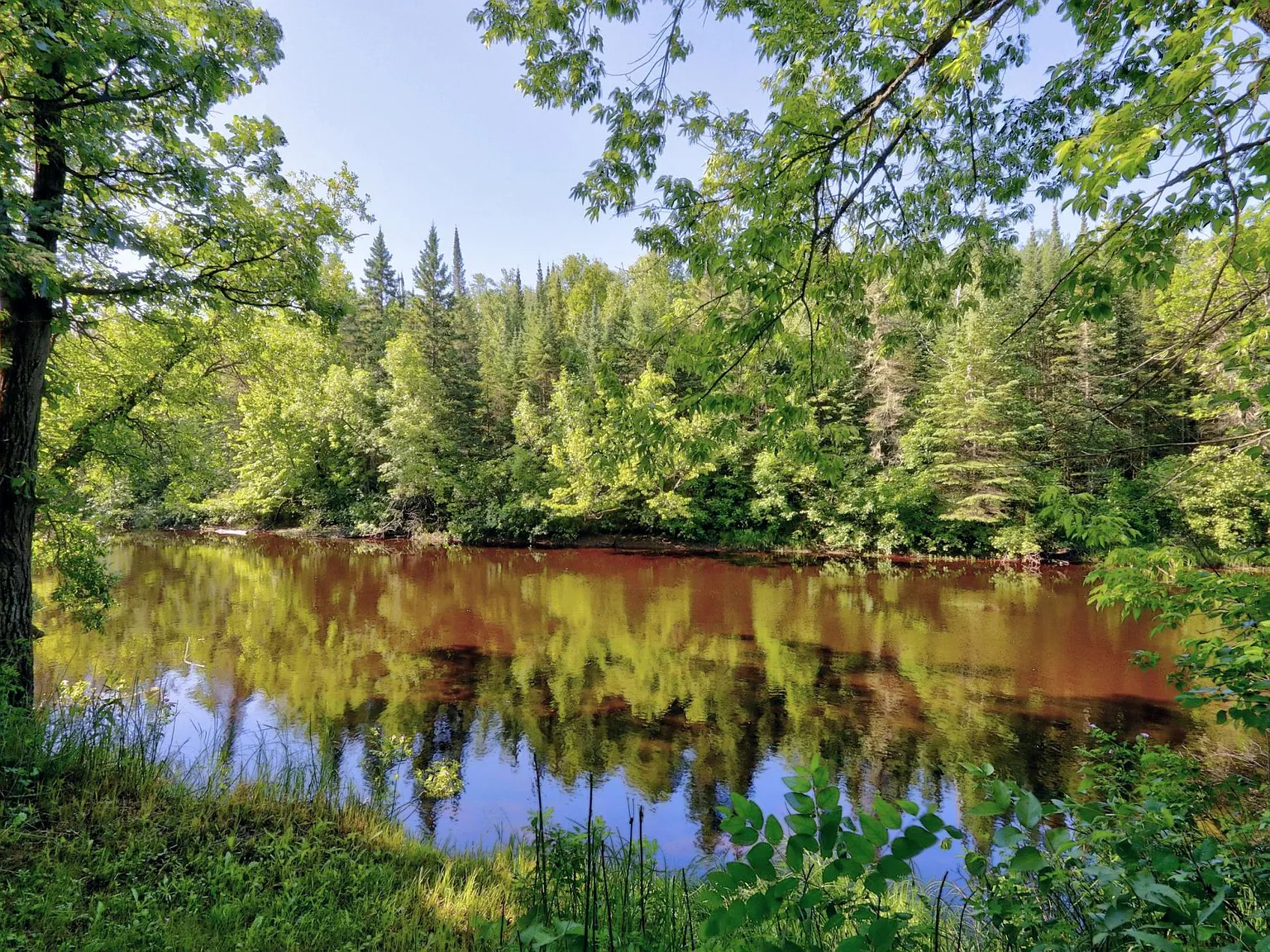 41 Acres on the Sturgeon River, With a Fully Furnished 1900 Cabin