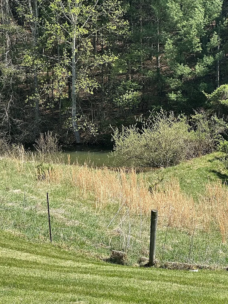 Cottage with Spring-Fed Pond and Fenced Field on 4.59 Acres Near the New River