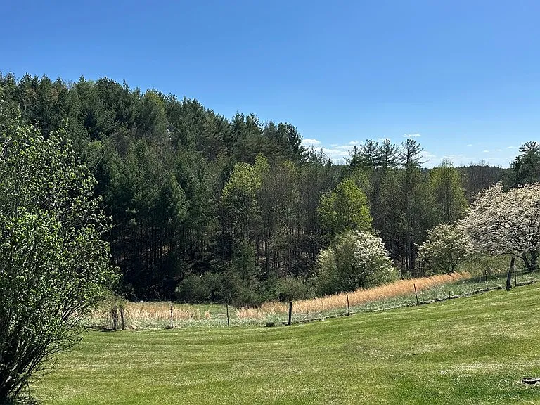 Cottage with Spring-Fed Pond and Fenced Field on 4.59 Acres Near the New River