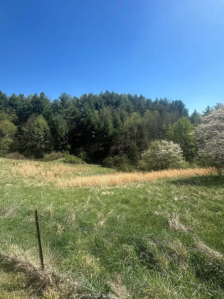 Cottage with Spring-Fed Pond and Fenced Field on 4.59 Acres Near the New River