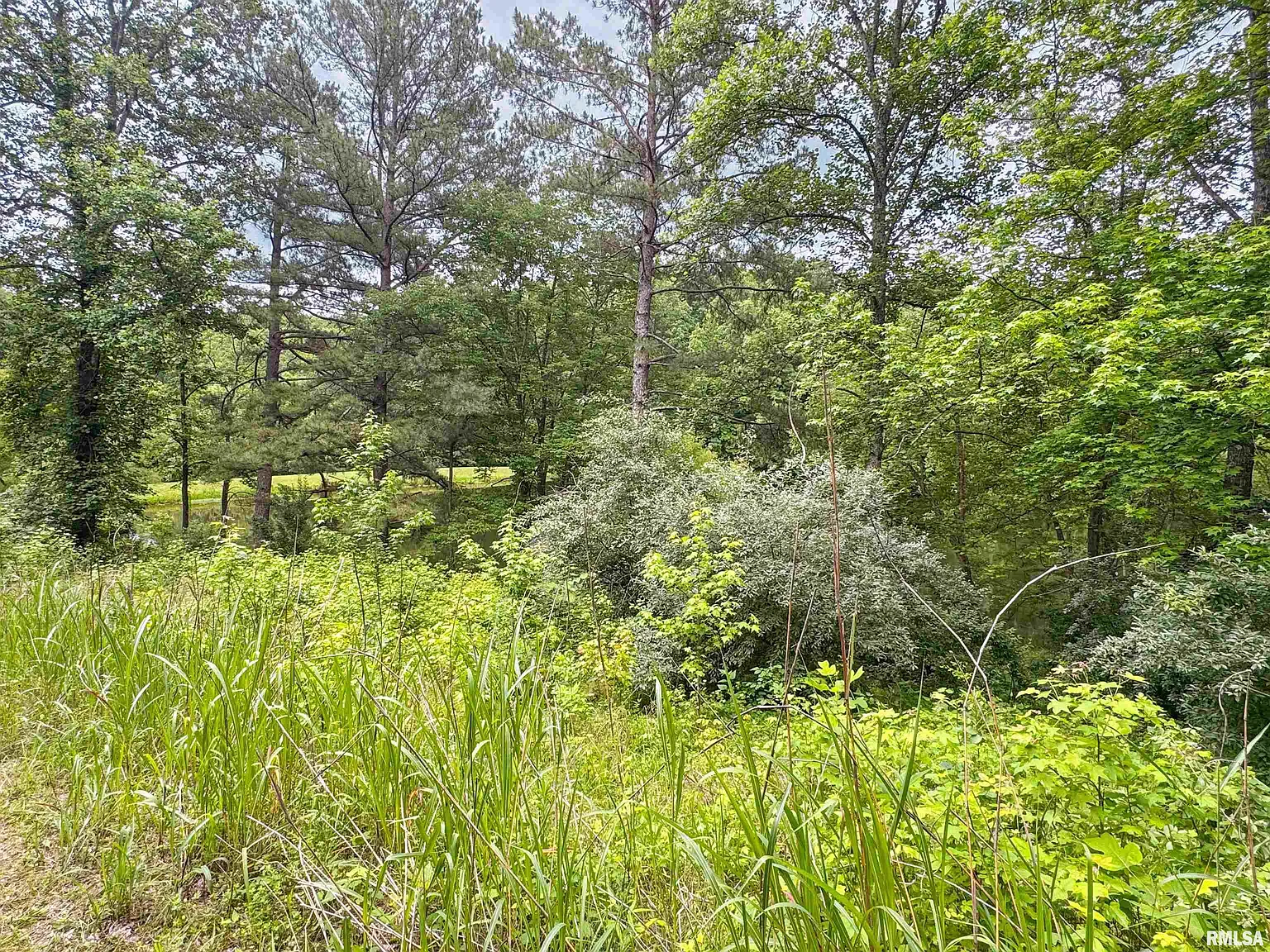 35 Wooded Acres with Two Ponds and a Fixer-Upper Home in the Shawnee Hills Near Garden of the Gods