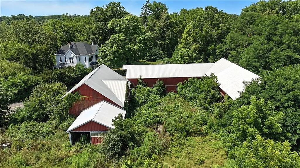 Three Barns on 34.7 Acres, Ready to Reimagine